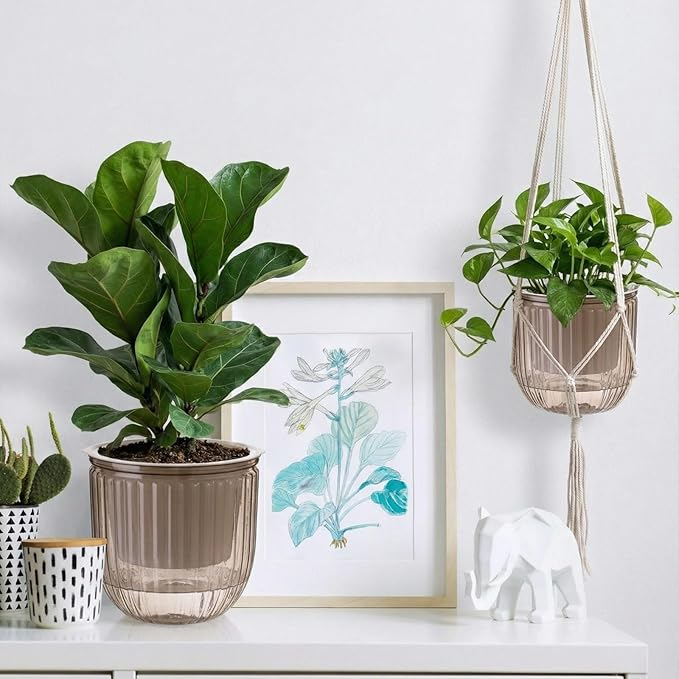 Hanging Planter Set of 6 Self Watering Indoor Flower Pots with Water Level Indicator Modern Plant Hangers for Indoor Garden Decor Balcony Apartment Boho Home Decoration Easy Care(Grey)