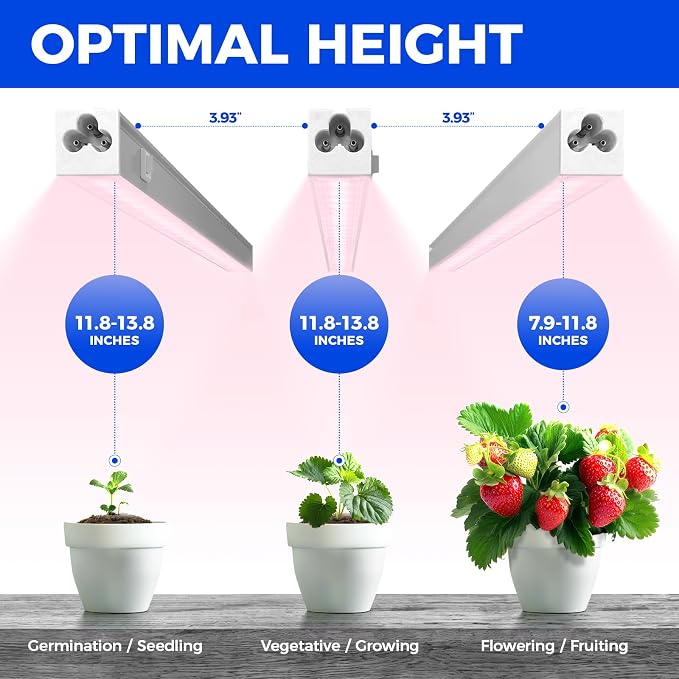 Barrina Grow Light for Indoor Plants, Full Spectrum Sunlight, 1ft Grow Lamp, LED Grow Light Bulbs, T5 Grow Light Strip, Plug and Play, Pinkish White, 4-Pack