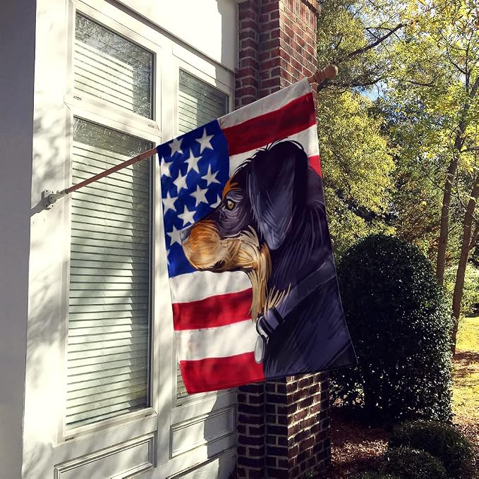Caroline's Treasures CK6744CHF Transylvanian Hound American Flag House Flag Large Porch Sleeve Pole Decorative Outside Yard Banner Artwork Wall Hanging, Polyester, House Size, Multicolor