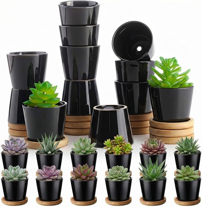 Hsei 24 Pack 2.5 Inch Mini Succulent Plant Pots Small Ceramic Flower Pot with Bamboo Tray Garden Cactus Herb Container Home Office Decoration for Birthday Graduation Wedding Favor Gifts (Black)