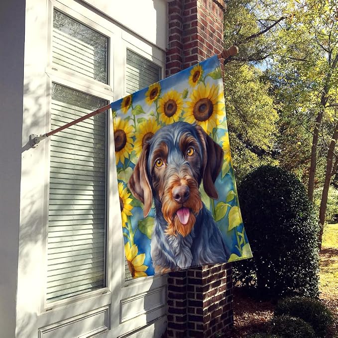 Caroline's Treasures DAC6086CHF German Wirehaired Pointer in Sunflowers House Flag Large Porch Sleeve Pole Decorative Outside Yard Banner Artwork Wall Hanging, Polyester, House Size, Multicolor