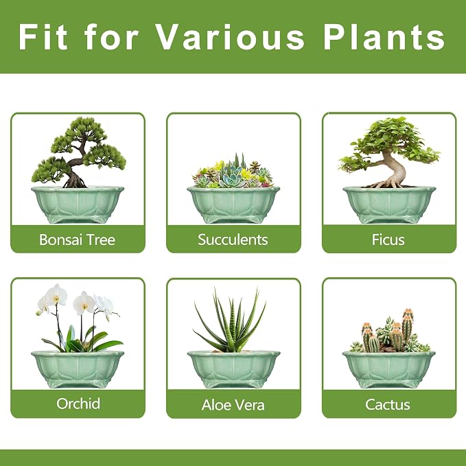 Bonsai Tree Pot - 13.2 Inch Large Ceramic Succulent Planter for Indoor Outdoor, Oval Plant Pot with Drainage Hole, Decorative Flower Pots, Home Decor, Gifts for Plant Lovers, Green
