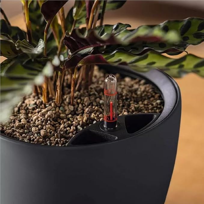 Lechuza Classico Color LS 21 Sand Brown, Self-Watering Round Planter, D8.7 H7.9 in