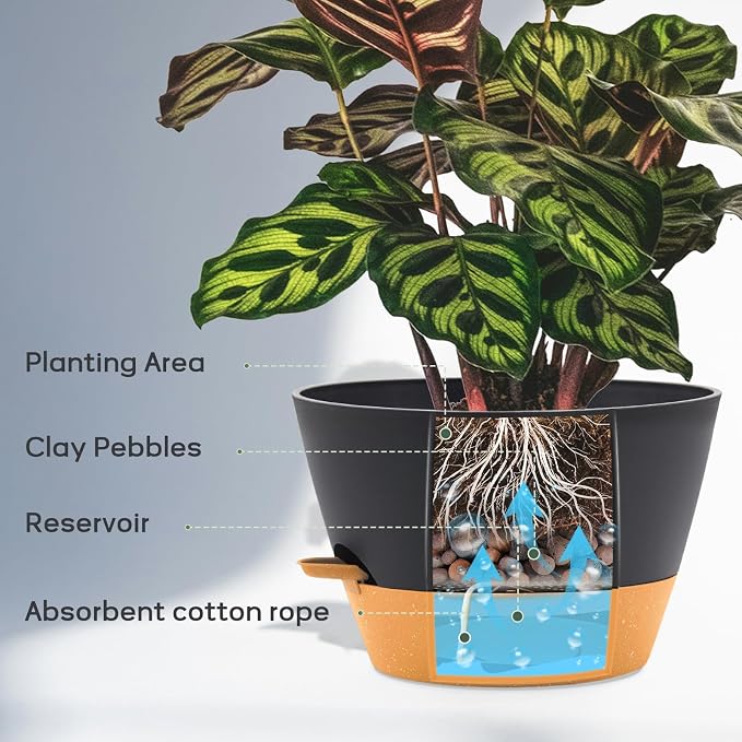 12 Inch Self Watering Pot with Visual Water Window, Drainage Holes & Watering Lip, Large Plastic Planters for Indoor Outdoor Plants, Modern Decorative Flower Pot (Grey)