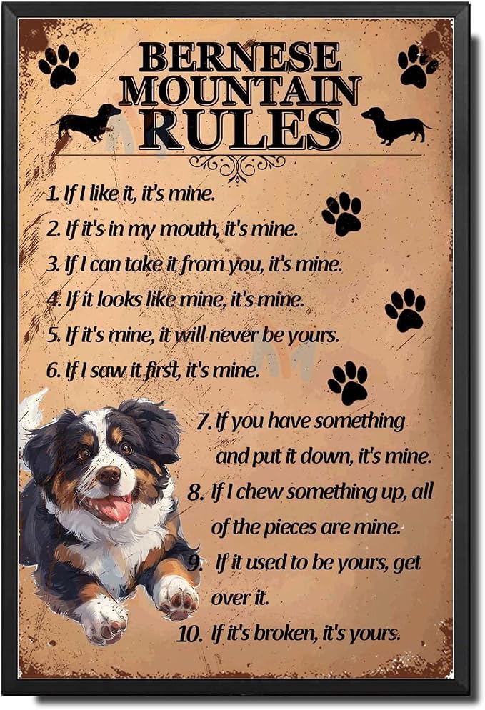 Metal Sign Tin Sign Vintage Wall Art Bernese Mountain Rules Greenhouse Decor for Pub 6×8 Inches with Metal Frame