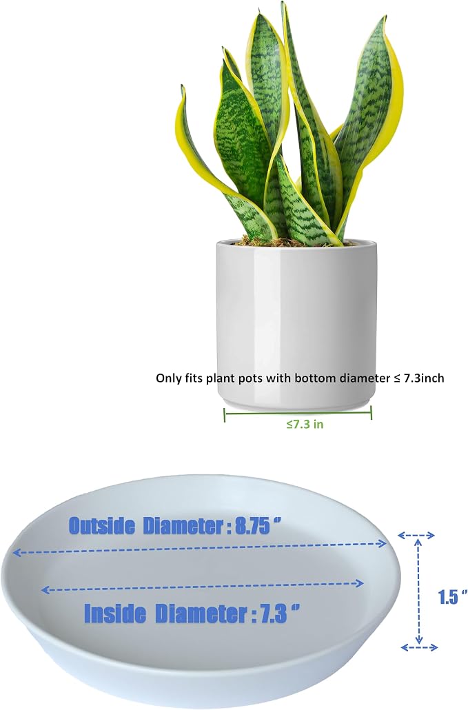 Plant Saucer 8 Inch, 2 Pack Large Plant Saucers Ceramic Tray 8 inch (7.3" Inner) for Flower Pot, Classic Sturdy Planter Water Catcher Tray for Plant Base,White