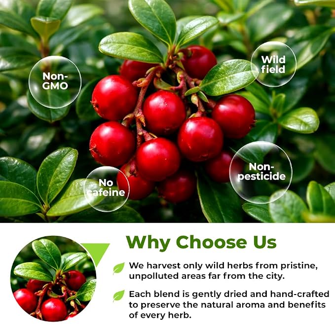 2 oz. Lingonberries Fruit Herbal Tea (Vaccinium Vitis-Idaea) - 56g Dried Lingonberry Herb Fruit Té De Arándano Rojo