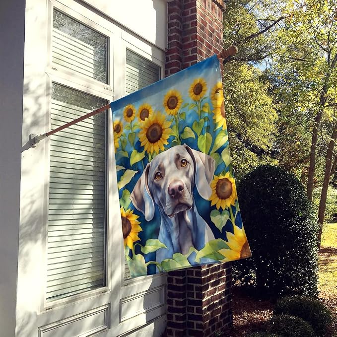 Caroline's Treasures DAC6170CHF Weimaraner in Sunflowers House Flag Large Porch Sleeve Pole Decorative Outside Yard Banner Artwork Wall Hanging, Polyester, House Size, Multicolor