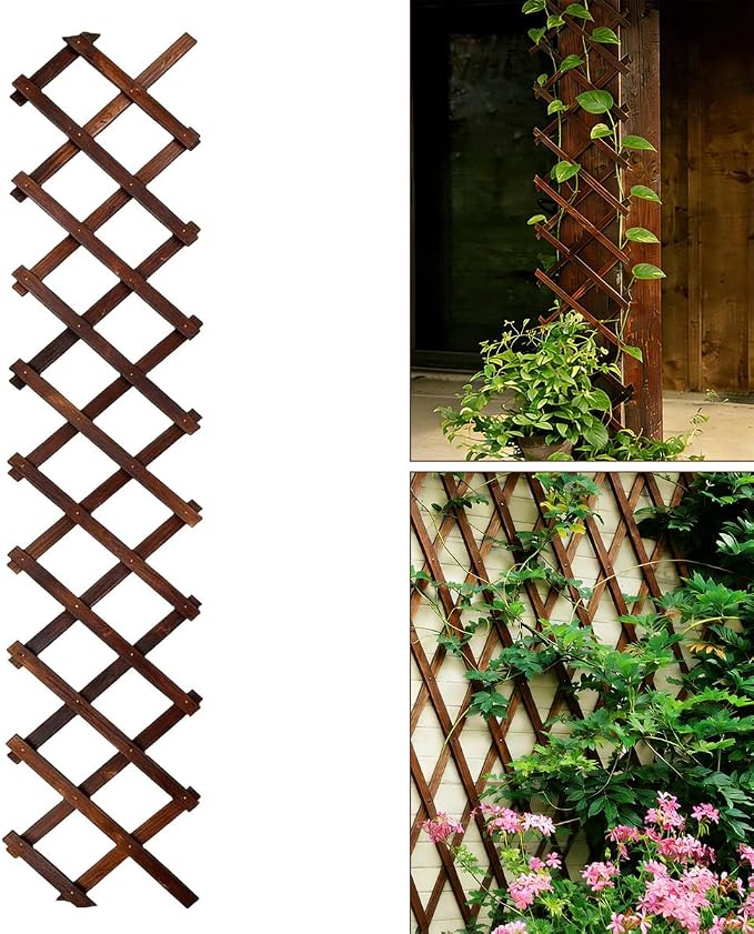 Expandable Garden Trellis, 13" x 68" Thickened Wooden Lattice Trellis for Climbing Plants Outdoor Ivy Vine Rose Clematis for Garden Fence Wall Patio Room Decor (1Pcs Brown)