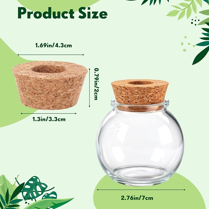 12 Pack Glass Plant Propagation Stations, Hydroponic Vases Tabletop Plant Terrarium Jar for Indoor Flower Arrangements Glass Planter Kitchen Office Decoration Gifts (Spherical)
