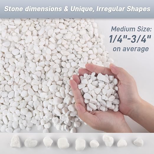 Mulctun 2Lb White Rocks for Plants, 1/4"-3/4" White Pebbles, Decorative Stones for Vases, Small Aquarium Gravel for Fish Tank Garden Rocks for Potted Plants & Home Decor