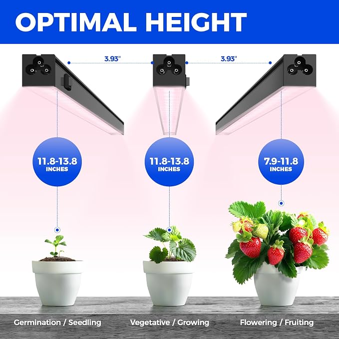 Barrina T5 Grow Lights, LED Grow Lights with Black Cover, Full Spectrum Grow Light Strips, 1ft Pinkish White Plant Lights for Indoor Plants, Greenhouses, Plant Displays, Linkable Design, 8 Packs