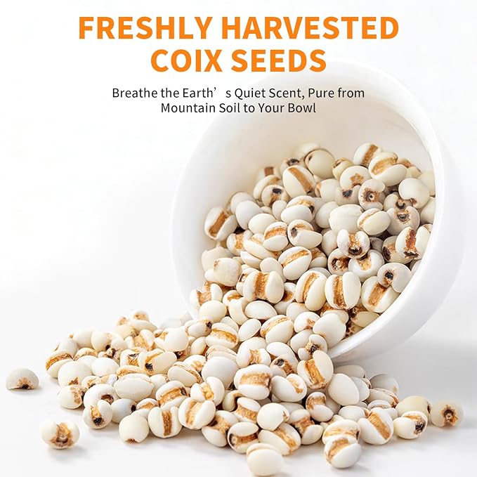 Jobs Tear Coix Seeds 14.11oz (400g) | Pearl Barley Coix Rice No Additives, No Sugar | Whole Grain for Porridge/Soup 薏米 薏苡仁