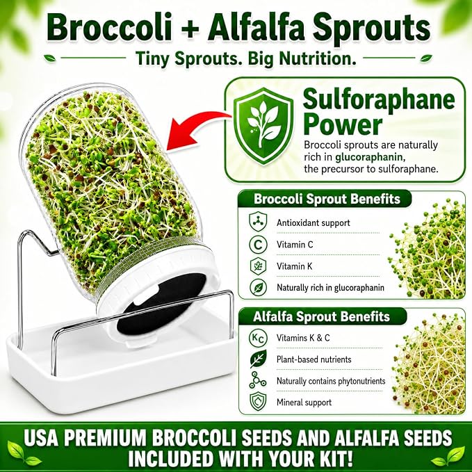 Sprouting Jar Kit - 2 Mason Jars with Broccoli & Alfalfa Seeds | Includes Green onion regrower, sprout lids, drain tray and Premium USA seeds
