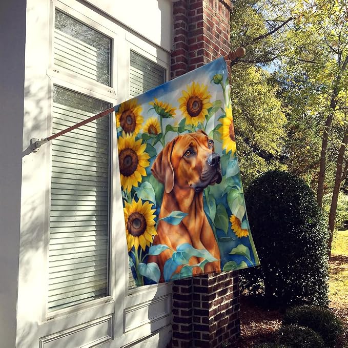 Caroline's Treasures DAC6149CHF Rhodesian Ridgeback in Sunflowers House Flag Large Porch Sleeve Pole Decorative Outside Yard Banner Artwork Wall Hanging, Polyester, House Size, Multicolor