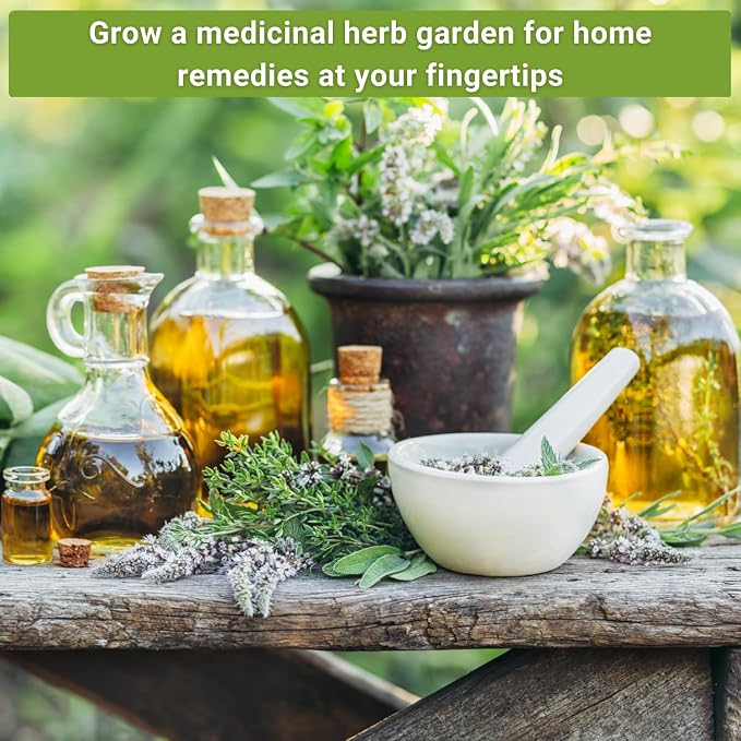 Sow Right Seeds - Large Medicinal Herb Seed Collection for Planting - Chamomile, Echinacea, Lavender, Mint, Lovage, Lemon Balm, & More - Non-GMO Heirloom for Home Remedies, Teas, Tinctures