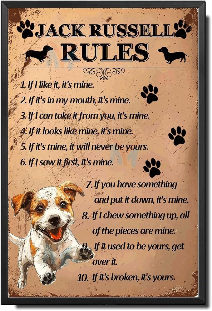 Metal Sign Tin Sign Vintage Wall Art Jack Russell Rules Metal Garden Signs for Restaurant 8×12 Inches with Metal Frame