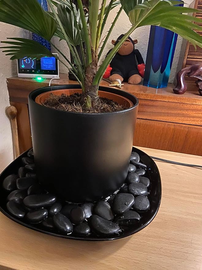 FANTIAN 20 lbs Black Pebbles for Plants, 0.8-1.2 inch Small River Rocks for Landscaping, Decorative Stones for Planters Vase Fillers Fish Tank Gravel and Garden Rocks