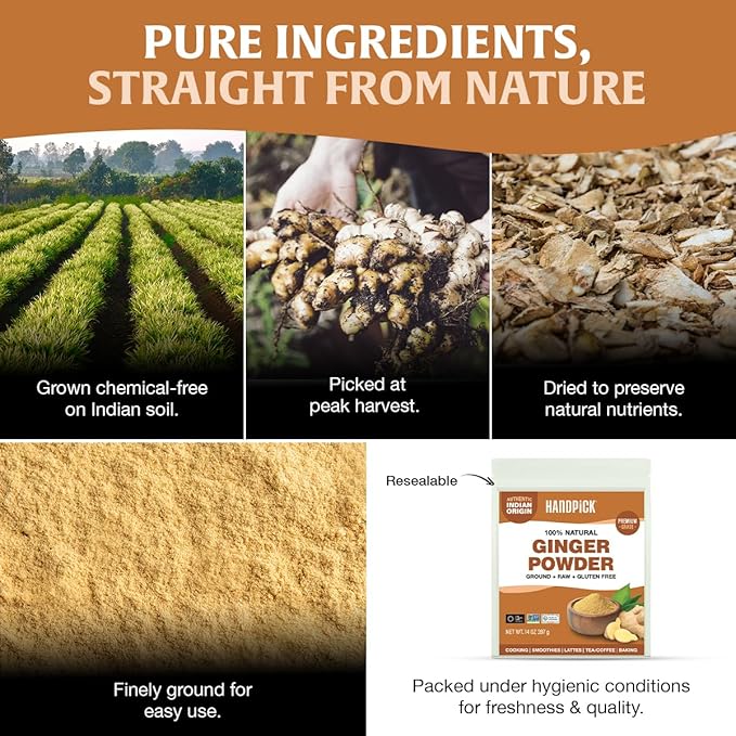 HANDPICK Ginger Powder (14oz/397g) No Additives, No Preservatives, No Fillers | Ginger Root Powder from India | Raw, Gluten Free, Non GMO | Perfect for Cooking | Resealable Pack (Packaging may vary)