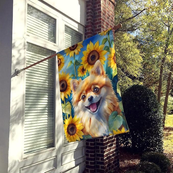 Caroline's Treasures DAC6136CHF Pomeranian in Sunflowers House Flag Large Porch Sleeve Pole Decorative Outside Yard Banner Artwork Wall Hanging, Polyester, House Size, Multicolor