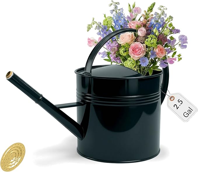 ‌2.5-Gallon Metal Watering Can,9.5L Large Galvanized Watering Can for Outdoor Plants with Removable Long Spout and Golden Handle