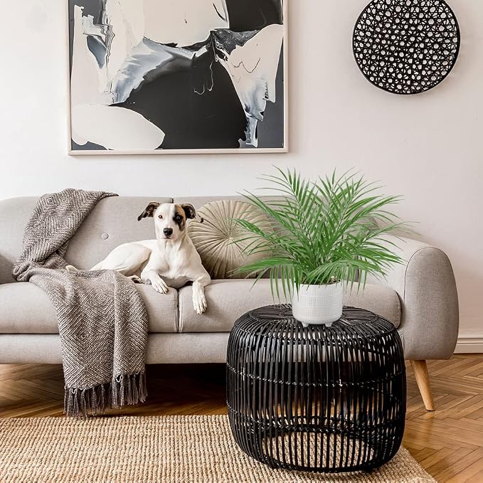 Hollyone Large Artificial Potted Plants Fake Palm Plants 19" Faux Green Plant Plastic Tropical Palm Tree in White Ceramic Pots Bohemian for Home Room Office House Indoor Decoration