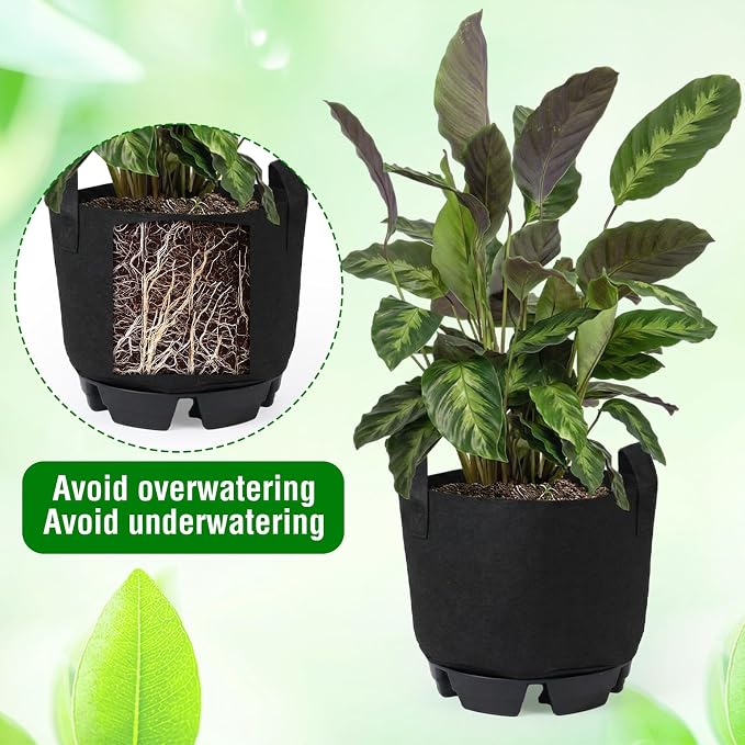 Jingmore 6 Set 5 Gallon Grow Bag Self Watering Fabric Pot Base Automatic Watering System Plant Nonwoven Grow Bag Handle Plant Saucer Elevate Flower Tray for Garden Indoor Outdoor Greenhouse (Black)