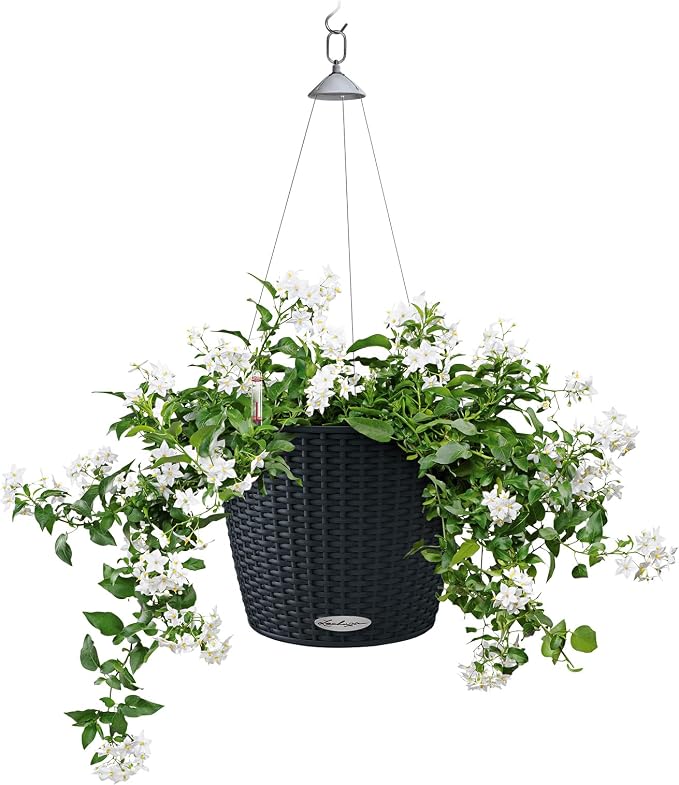 Lechuza Nido Cottage 28 Graphite Black, Self-Watering Hanging Planter, D10.6 H9.1 in
