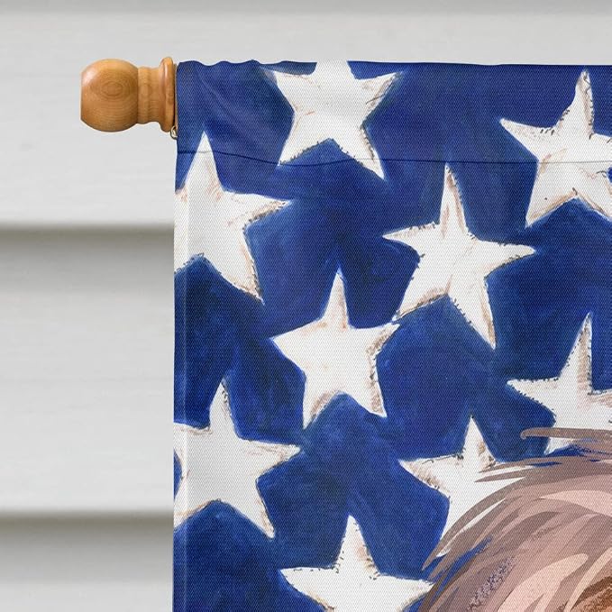 Caroline's Treasures CK6664CHF Pudelpointer Dog American Flag House Flag Large Porch Sleeve Pole Decorative Outside Yard Banner Artwork Wall Hanging, Polyester, House Size, Multicolor