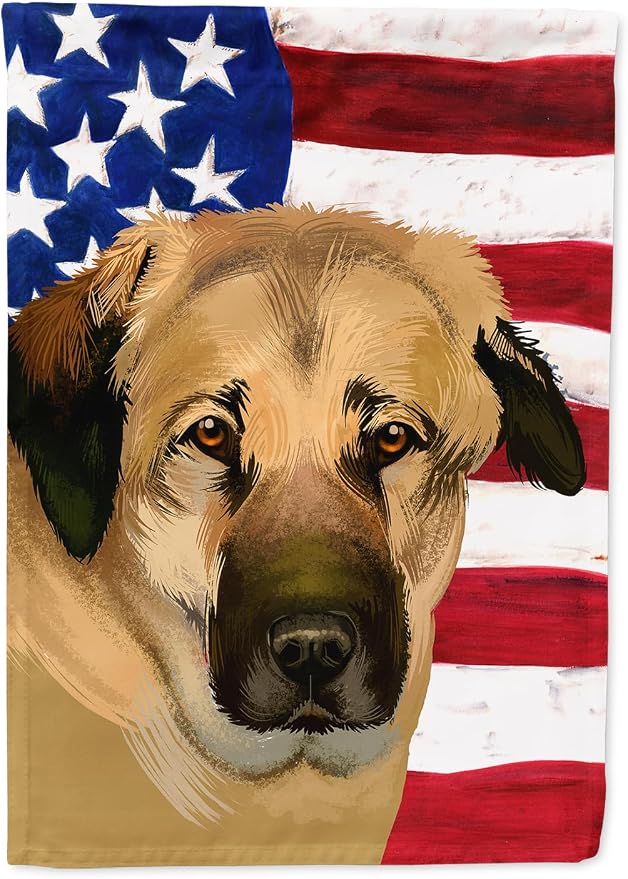 Caroline's Treasures CK6403CHF Anatolian Shepherd Dog American Flag House Flag Large Porch Sleeve Pole Decorative Outside Yard Banner Artwork Wall Hanging, Polyester, House Size, Multicolor