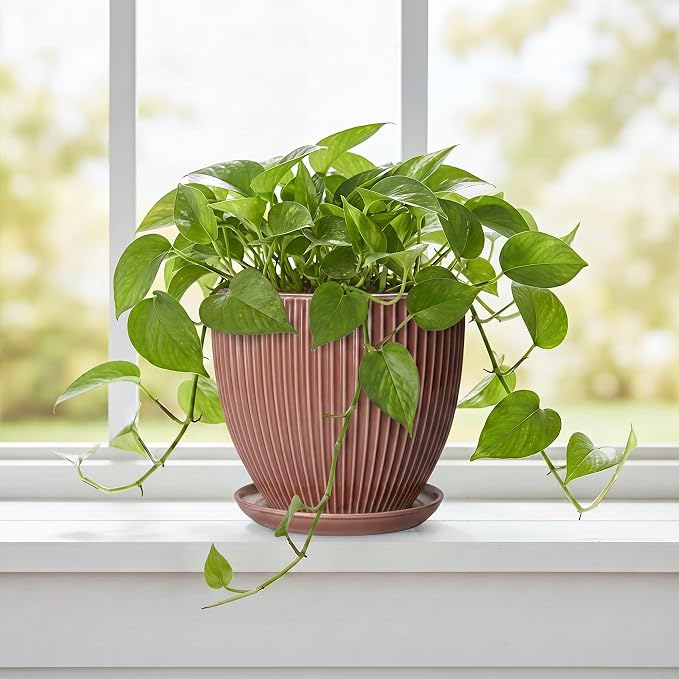 Ceramic Pots for Plants 6 Inch, Ceramic Plant Pots Indoor with Drainage Hole and Saucer, Modern Flower Pot, Round Decorative Planter, Living Room Home Decor, House Warming Gifts, Rust Red