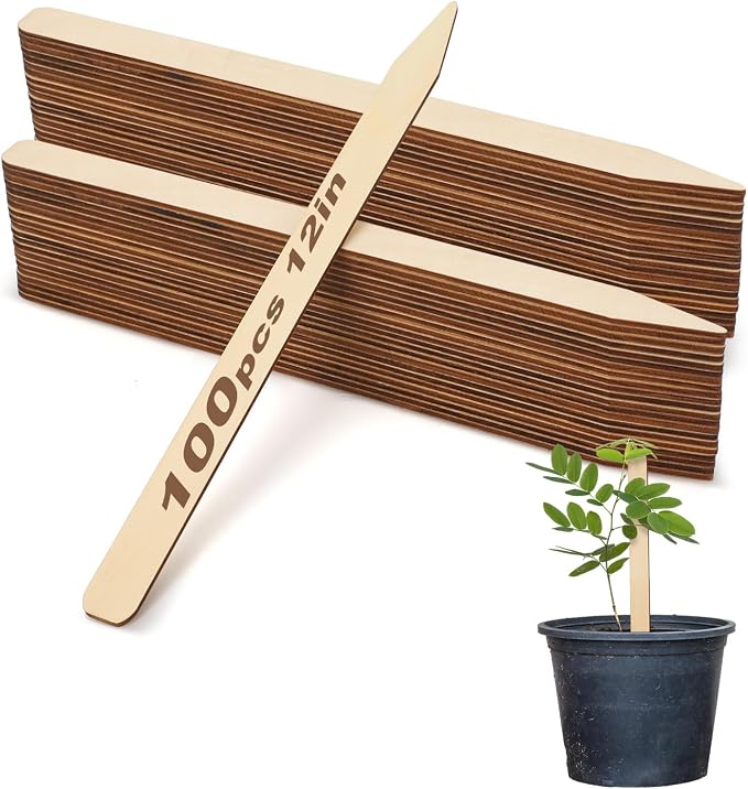 Weysat 100 Pcs 12" Wood Plant Labels for Field or Containers Plant Tags Wood Garden Labels for Seedling Stakes Markers Nursery Seed Tags with Smooth Surface for Pot Herbs Flowers Vegetables (Natural)