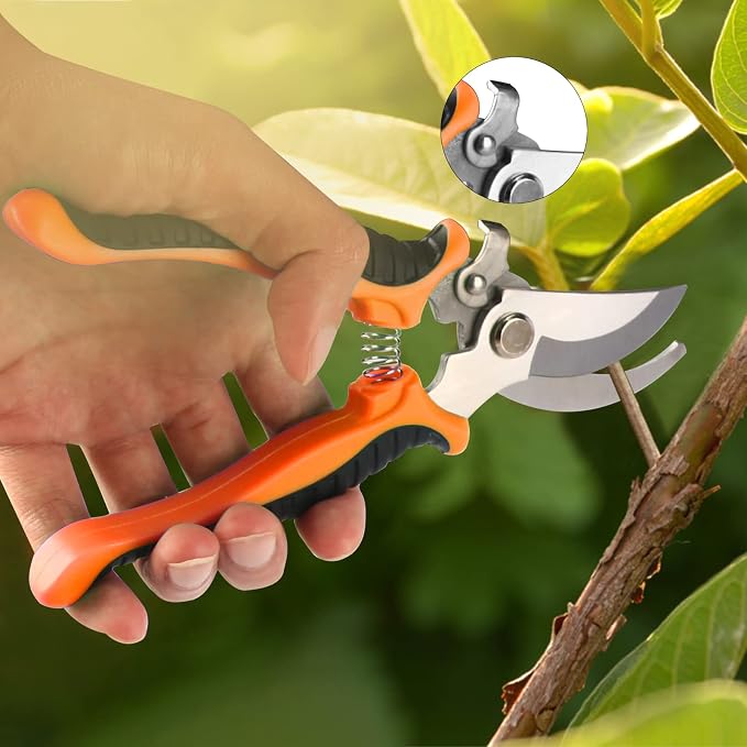 Bonsai Tools Set, 20 Pcs Gardening Succulent Tree Indoor Beginner Tool Kit, Include 262 Feet Bonsai Wire, 29.5"x29.5" Plant Repotting Mat, Leather Bag, Bonsai Scissors, Pruning Shears, Gifts for Women | Include 262 Feet Bonsai Wire, 29.5"x29.5" Plant R...