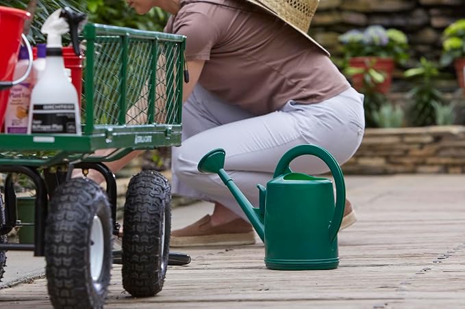 Consolidated Plastics Durable Swiss Watering Can with UV Protection, Ergonomic Handle for Indoor/Outdoor Gardening, Made in Switzerland (4 Liter, Green)