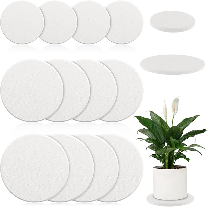 12Pack Diatomaceous Earth Coaster 4/6/8inch Diatomite Plant Saucer Stone Plant Sourcer Instant Dry Water Absorbent Diatomite Tray Water Absorbent Plant Coasters Absorbent Pad Diatomaceous Earth Mat