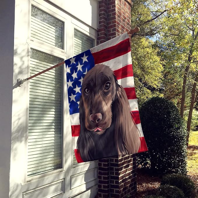 Caroline's Treasures CK6521CHF Field Spaniel Dog American Flag House Flag Large Porch Sleeve Pole Decorative Outside Yard Banner Artwork Wall Hanging, Polyester, House Size, Multicolor