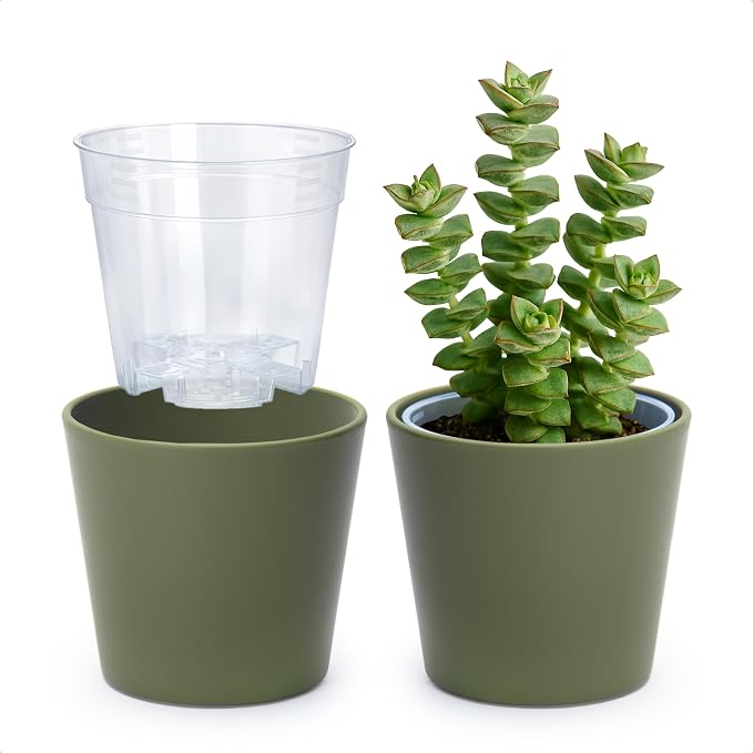 Phoenix Vine 4.5 Inch Olive Plastic Cachepot with Clear Nursery Pot, Decorative Lightweight Planter Cover with Transparent Inner Pot for Indoor Houseplants, Pack of 2, 24-B-F-2