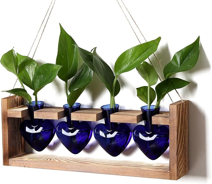 Plant Propagation Stations Heart Plant Terrarium Kit | Gift for Women Plant Lover Glass Vases