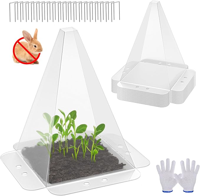 10 Pack Garden Cloches for Plants - Clear Reusable Plastic Seedling Covers with 20 Metal Stakes - Mini Greenhouse Plant Bell Covers for Frost, Sun, Pests Protection(7.8" x 11")