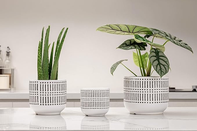 Docrin 3-Pack Ceramic Plant pots Set - 6.5"+5.3"+4" Dual-Tone Flower Pots with Drainage Holes, Modern Indoor Outdoor Planters for Succulents/Herbs/Large Plants, Home Office (Brownish Black & White)