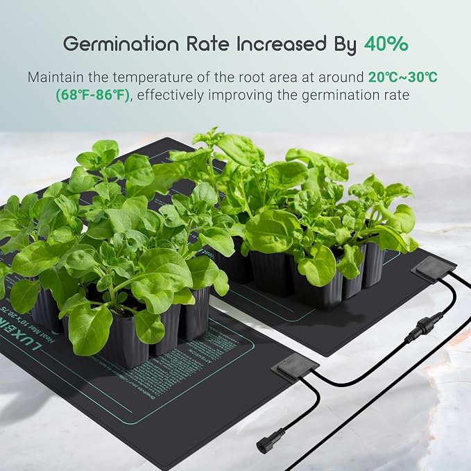 LUXBIRD 4 Pack Seedling Heat Mats with Digital Thermostat Controller, 10" x 20.75" Waterproof for Seed Starting, Germination, Hydroponics, Brewing, Breeding, Greenhouses (LB-HT04)