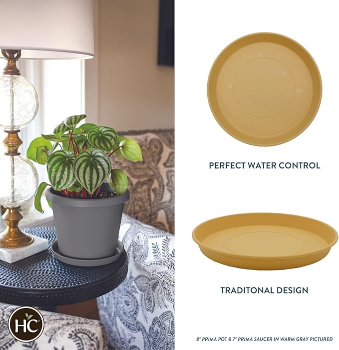 The HC Companies Round Prima Flower Pot Saucers - Plastic Plant Saucer for Outdoors & Indoors - Traditional Plant Pot Trays for Water Drainage -Durable Plant Tray (12-inch Honey, Pack of 1)