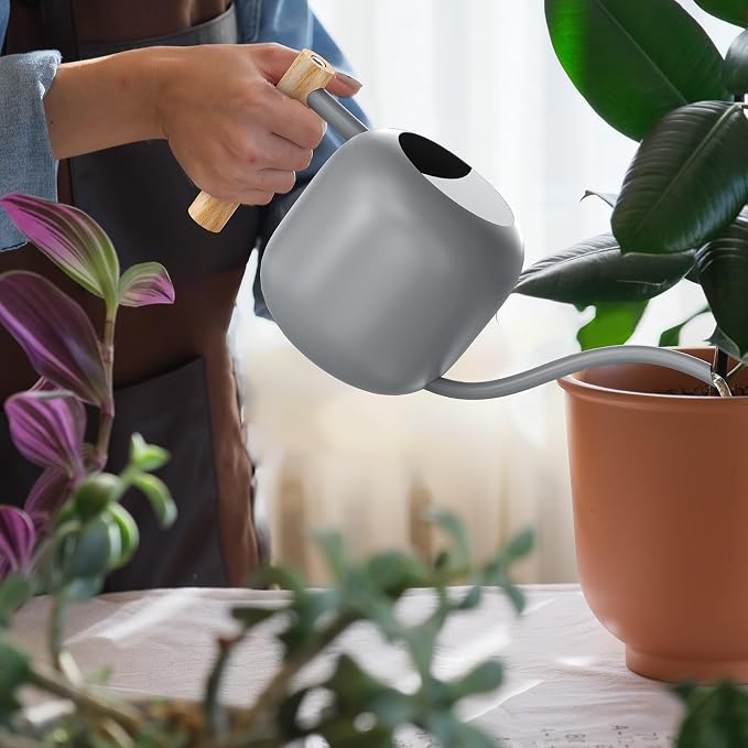 Green Moon 1.2L/41oz Metal Metal Watering Can with Long Spout, Gray | Metal Stainless Steel Watering Can for Indoor Plants, House Bonsai, Succulents, and Garden Flowers, Decorative Watering Cans