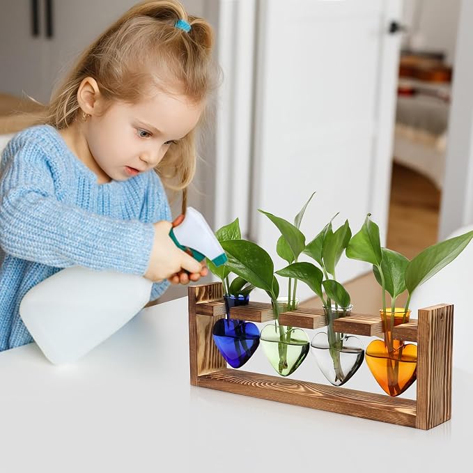 Plant Propagation Stations Heart Plant Terrarium Kit | Gift for Women Plant Lover Glass Vases