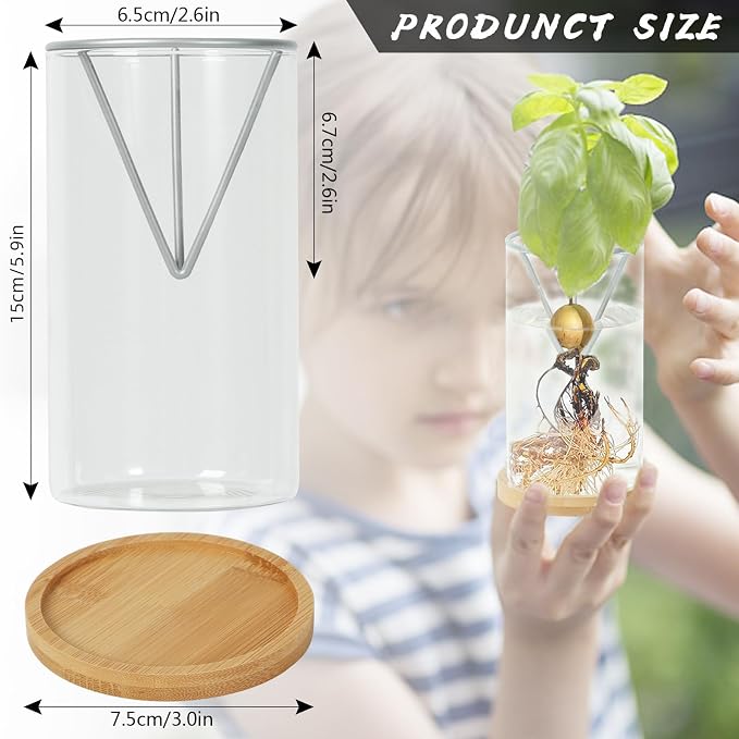 2 Pack Avocado Tree Growing Kits, Avocado Growing Vase Wooden Base Avocado Seed Starter Vase Glass Plant Pot Easy Seed Sprout Starter Gift for Women Gardening Lovers Home Office Table Decoration