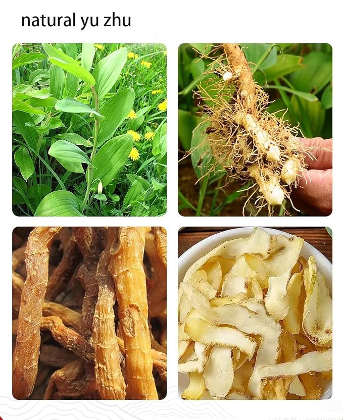 Solomon's Seal Root- Pure Natural Chinese Herbal Medicine-Dried Polygonatum Odoratum 3.53oz/100g Used for making soup-Brewing tea-玉竹 (Solomon's Seal Root)