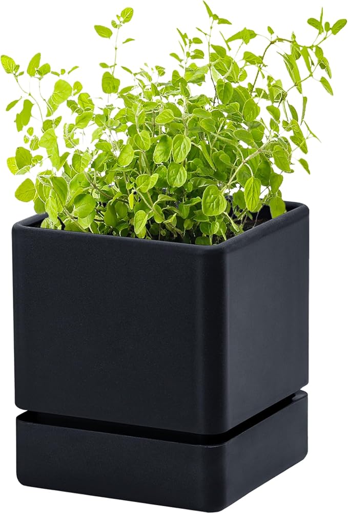 D'vine Dev 4 Inch Herb Planter Pot, Plastic Planter with Drainage Holes and Saucer, Modern Decorative Gardening Pot for Indoor Plants, Flowers, Herbs, Succulents, Black, Set of 1, 76-Y-B1-1