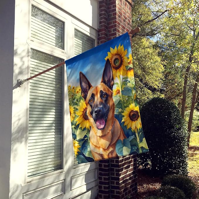 Caroline's Treasures DAC6022CHF Belgian Malinois in Sunflowers House Flag Large Porch Sleeve Pole Decorative Outside Yard Banner Artwork Wall Hanging, Polyester, House Size, Multicolor