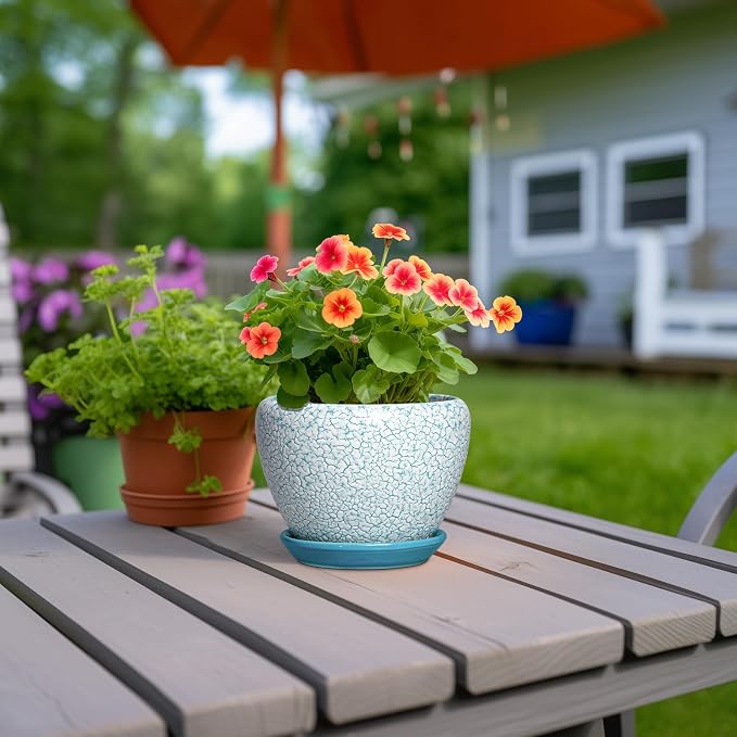 Ceramic Plant Pot, 6 Inch, Crackle Blue | Indoor Planters for Succulent Plants, Round Decorative Flower Pot, Drainage Hole and Saucer, Room Decor, Gifts for Gardeners