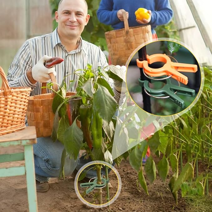 Plant Clips, 2026 Upgrade Plant Support Clips Reusable Garden Clips, Secured Plastic Plant Clips, Tomato Trellis Clips Plant Vine Fixing Clips for Climbing Plants Indoor Outdoor (Green*24)